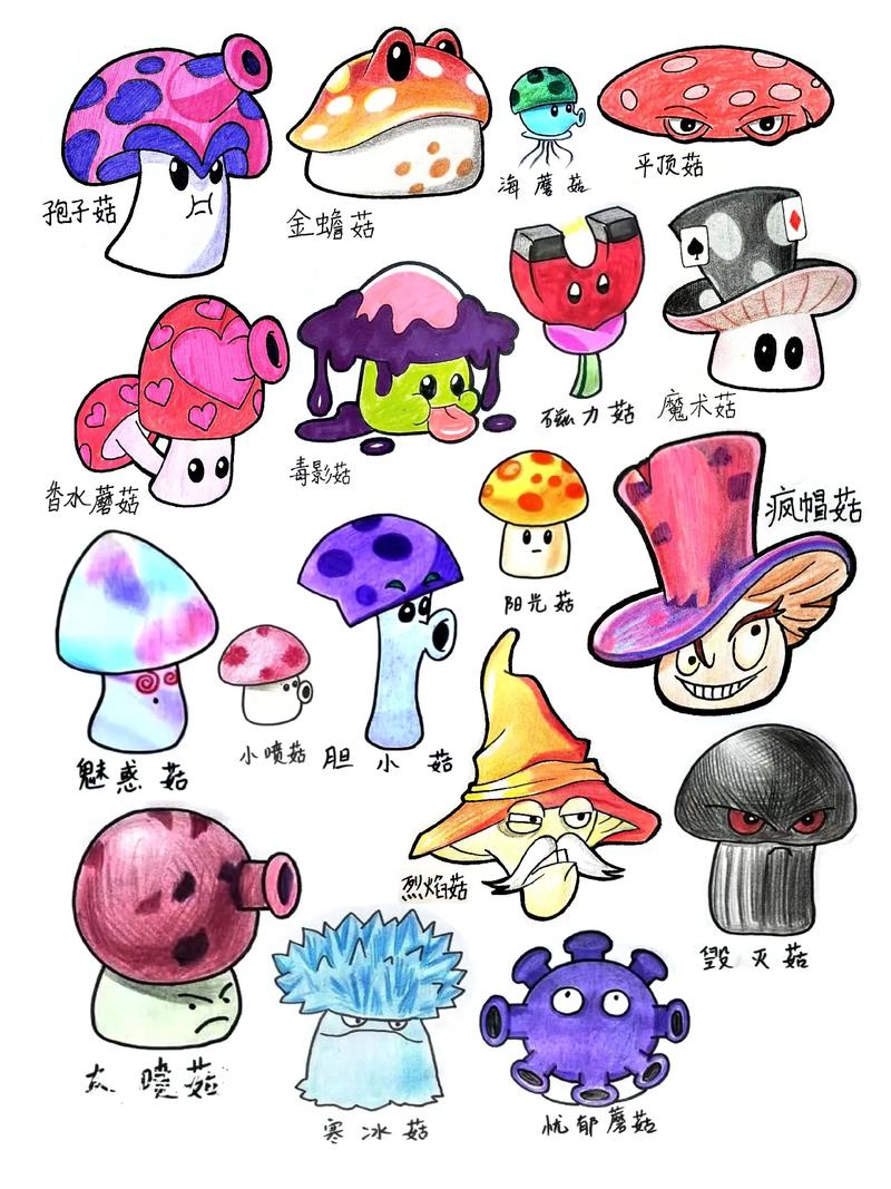 蘑菇家，蘑菇家族图片？